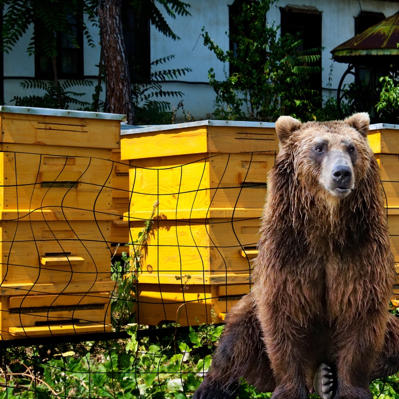 Sada na elektrický ohradník na ochranu úľov pred medveďmi 200m